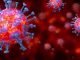 koronavirus