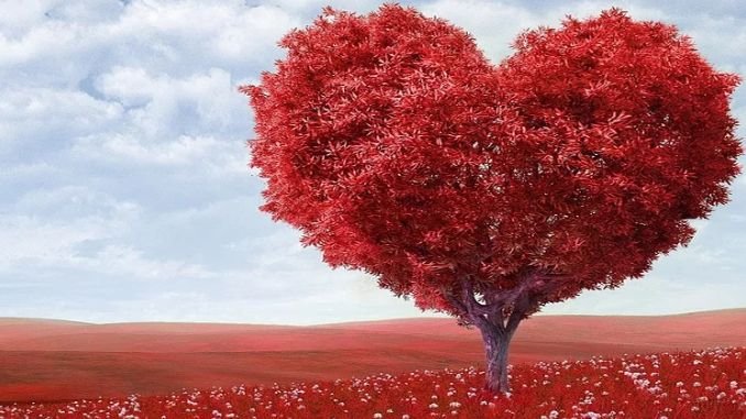 Kışın Kalp Krizi Geçirme Riski Neden Artar? Kışın Kalp Krizi Geçirme Riski Neden Artar?
