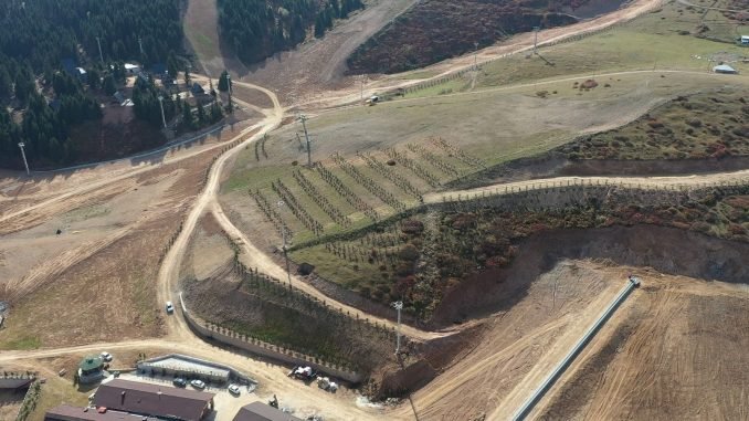 cambasi yaylasi kayak merkezi agaclandiriliyor cambasi yaylasi kayak merkezi agaclandiriliyor