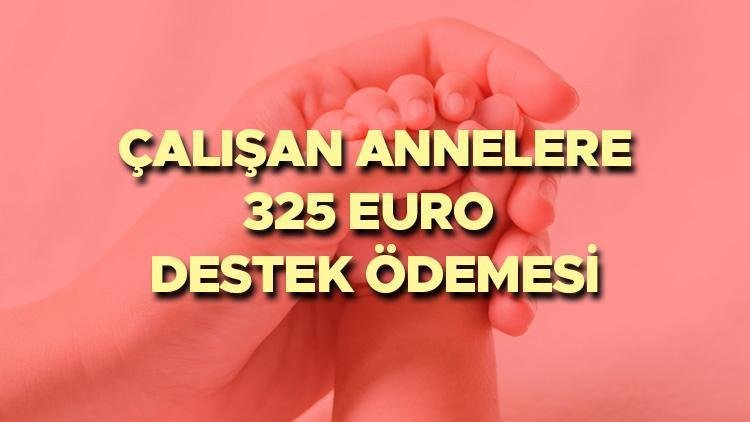 Annelere 325 Euro Destek Ödemesi Başvuruları