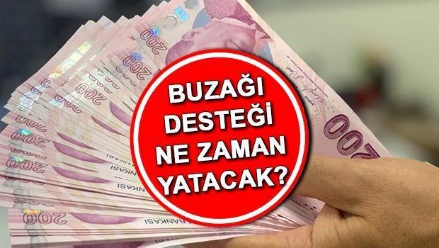 buzagi-destekleme-programi-2024-P2D9KITY.jpg