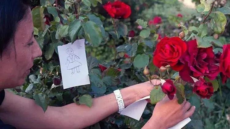 Hıdırellez Kutlamaları ve Gelenekleri