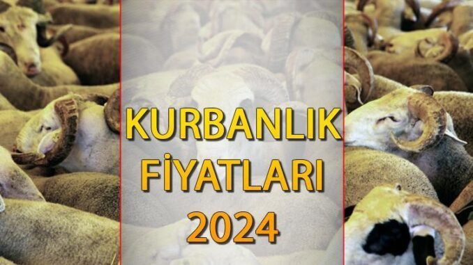 kurban-kesim-bedeli-2024-GjhK2cfF.jpg