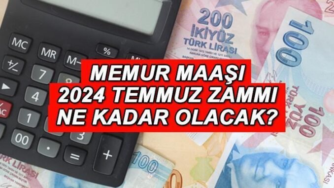 memur-ve-emekli-maas-zammi-temmuz-2024-hesaplama-detaylari-AR4aVdgl.jpg