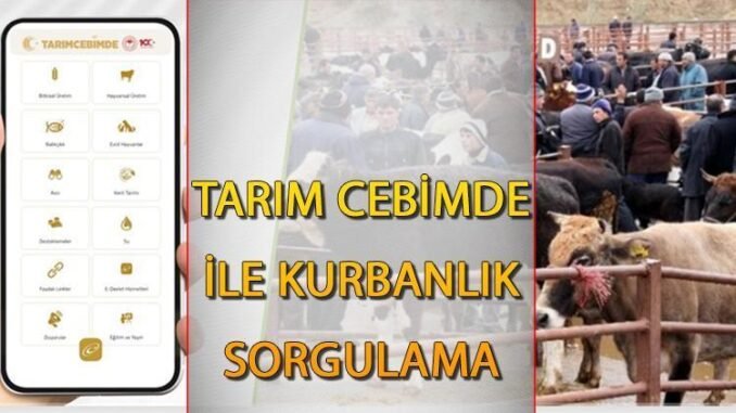 tarim-cebimde-ciftcilere-yonelik-mobil-uygulama-1saD9e4O.jpg