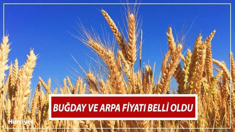 Mahsul Alım Fiyatları
