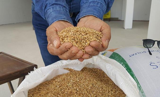Alım Noktaları ve İşleyiş