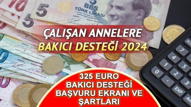 calisan-anneler-icin-325-euro-bakici-destegi-basvurulari-DB2cBw7T.jpg