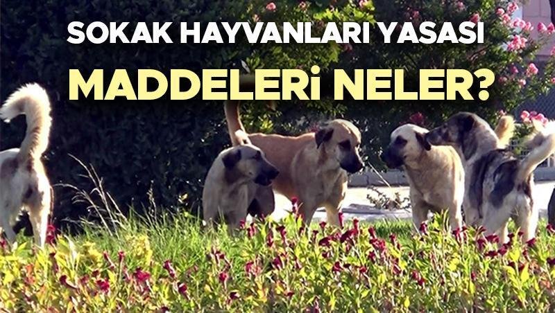 AK Partili Güler'den Önemli Açıklamalar