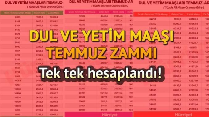 2024-dul-ve-yetim-maasi-zammi-hesaplama-detaylari-SyhKghMw.jpg