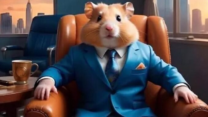 hamster-kombat-gunluk-kombo-sifreleri-ve-kullanimi-NiuEylpf.jpg