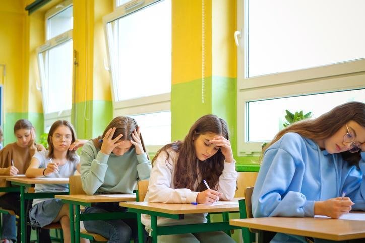 LGS 2024 Tercih Süreci Detayları