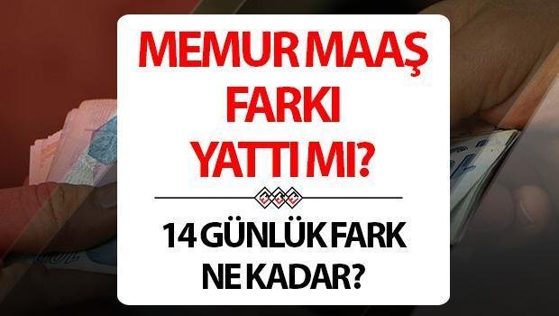 zamli-memur-maasi-ne-zaman-yatacak-cfMrNXBJ.jpg