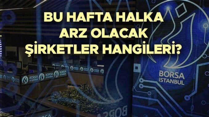 2024-halka-arz-takvimi-ve-sirket-onaylari-nOXQTHwU.jpg