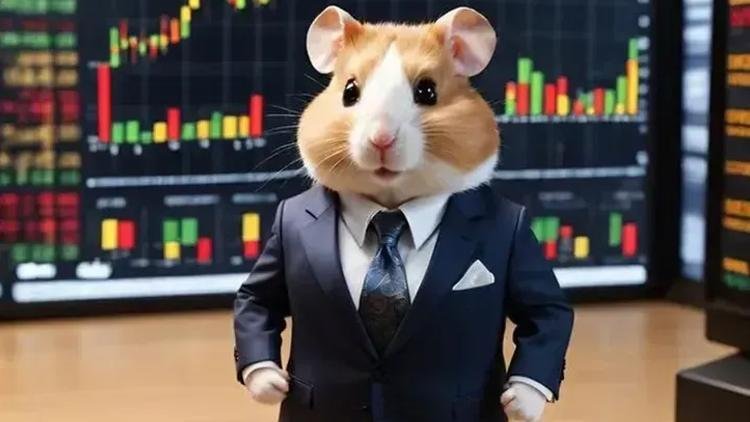 hamster-kombat-1-eylul-gunluk-sifre-ve-kombo-kartlari-3-3OZVOb2L.jpg