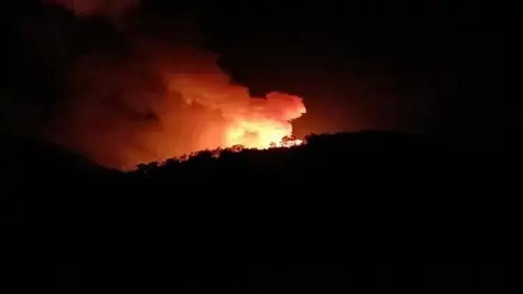 İzmir Orman Yangınları: Son Durum ve Gelişmeler
