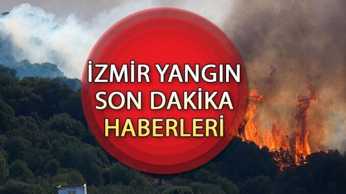 izmir-ve-manisadaki-orman-yanginlari-son-durum-NrHPe7jI.jpg