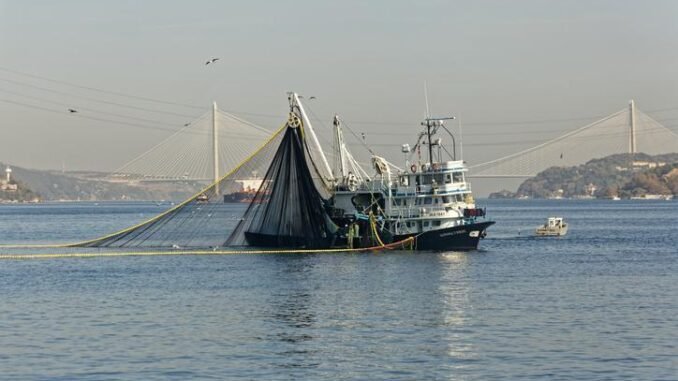 balik-sezonu-acildi-av-yasagi-sona-erdi-jBzhtCTJ.jpg