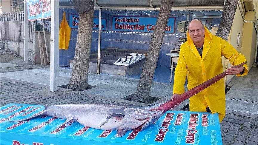 kilic-baligi-hakkinda-bilgiler-ve-pisirme-yontemleri-5-vpymwEnJ.jpg