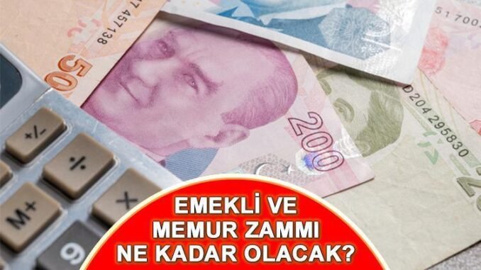 memur-ve-emekli-maas-zammi-2023-enflasyon-verileri-ve-hesaplamalar-28psXVRy.jpg