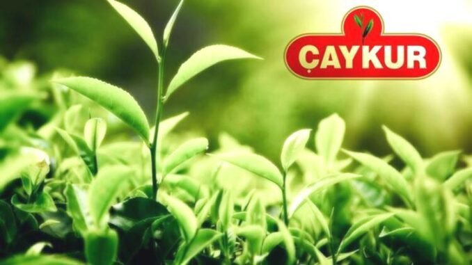 2024-yili-eylul-ayi-cay-destekleme-odemeleri-c1CkBeVB.jpg