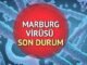 Marburg Virüsü: Belirtileri, Tedavisi ve Türkiye'deki Durum - TeleferikHaber