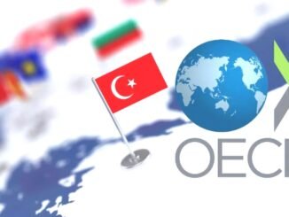 OECD En Çok Büyüyen Ülkeleri Açıkladı: Türkiye Kaçıncı Sırada? - TeleferikHaber
